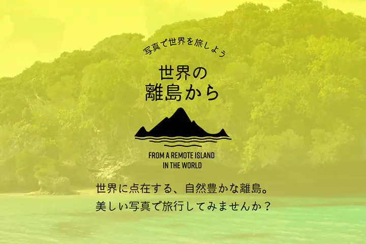 サービスのリリースと今後の計画